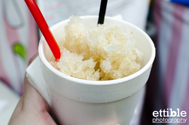 An Icy Introduction SnoBalls